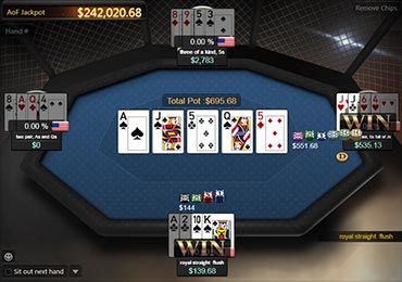 Winning Online Poker Player